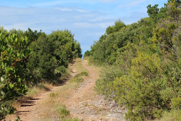 C19779 22-07-2014 Nečujam.jpg